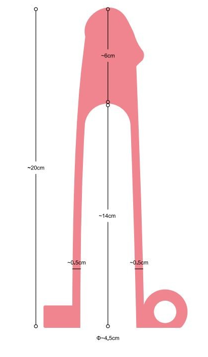 GAINE PÉNIS RÉALISTE S6 FLESH 21 CM AVEC VIBRATION