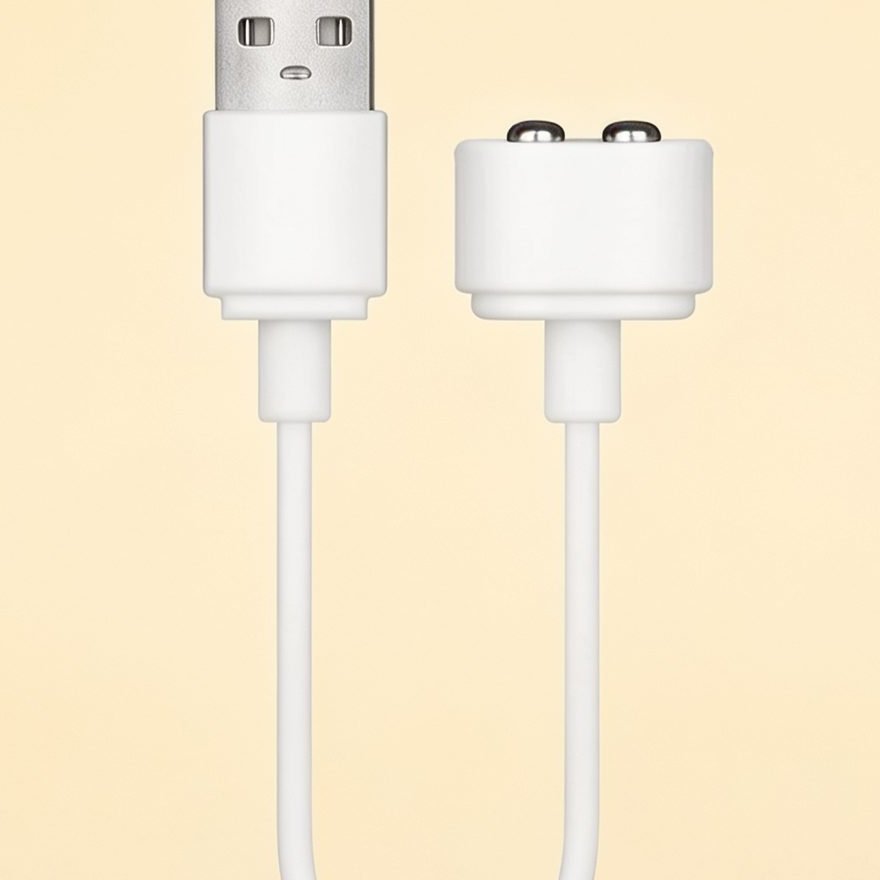 CBLE CHARGEUR — gros plan