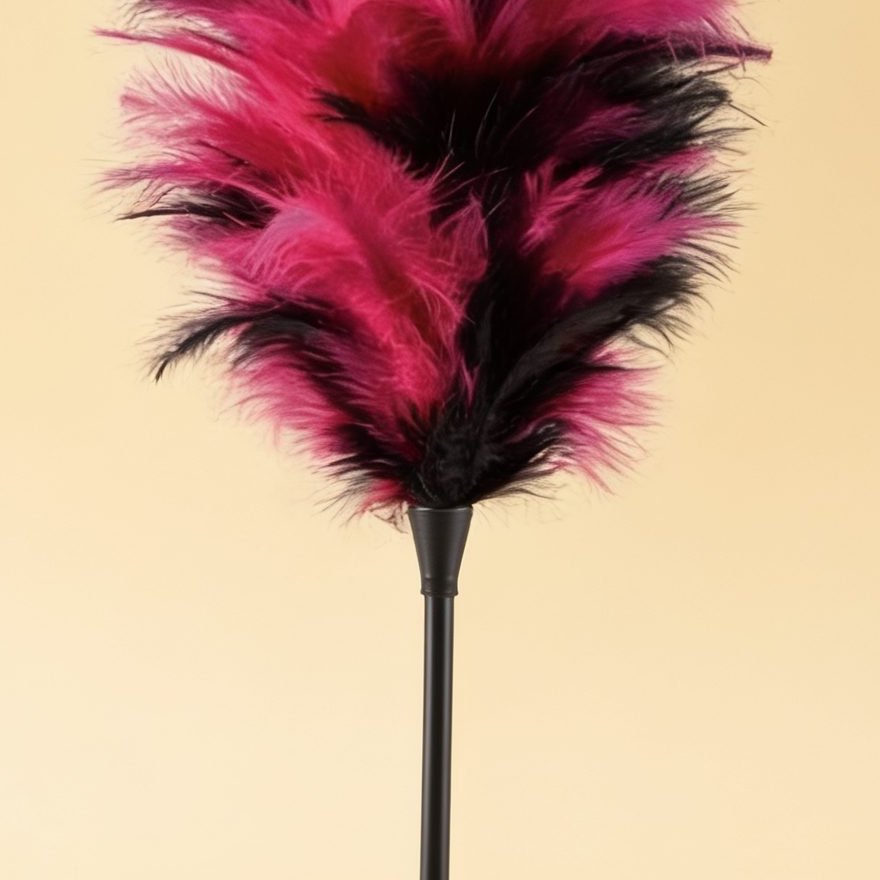 FEATHER DUSTER BLACK AND PINK — gros plan