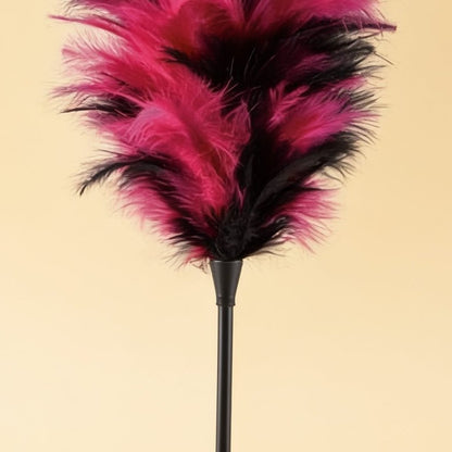 FEATHER DUSTER BLACK AND PINK — gros plan
