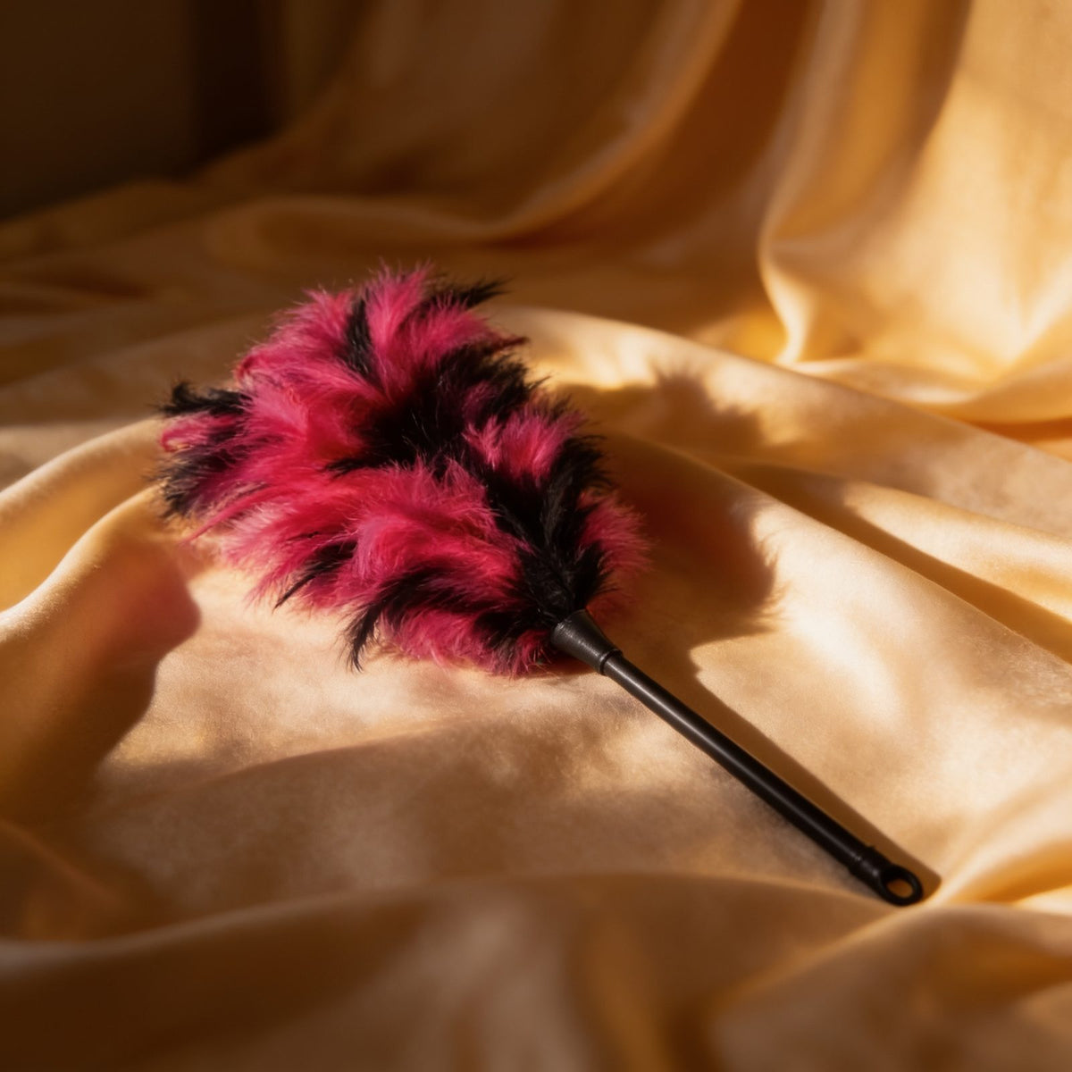 FEATHER DUSTER BLACK AND PINK — mise en situation