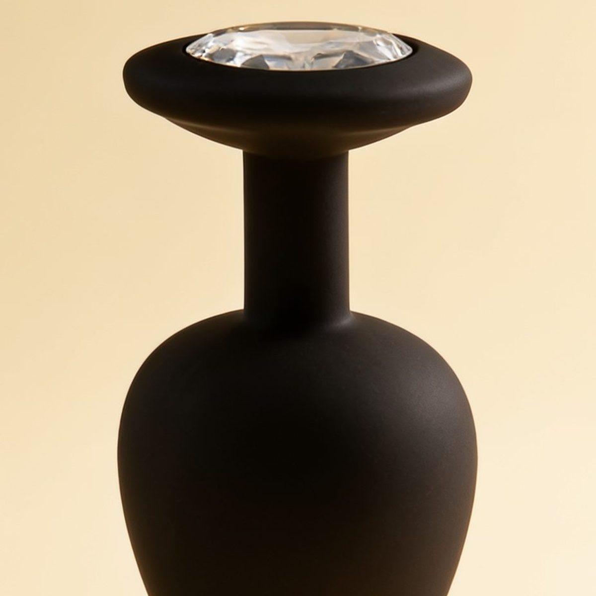 Plug Large noir — gros plan sur le bijou et le silicone