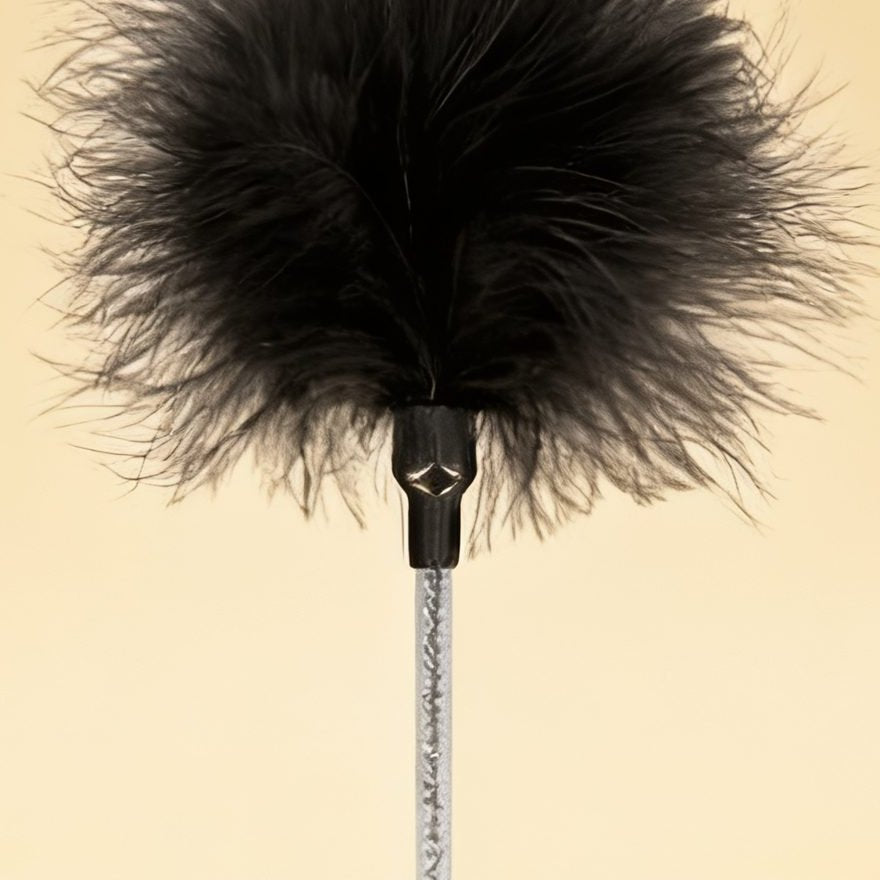 PLUMEAU CARESSE BLACK — gros plan