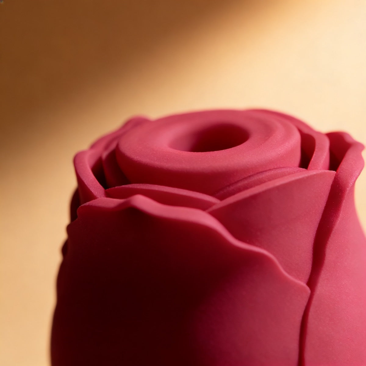 Détail des pétales et de l'ouverture d'aspiration de la rose